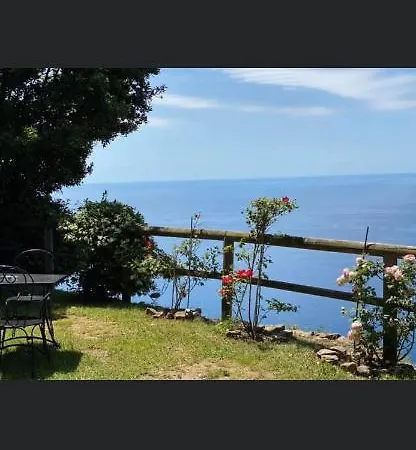 Valeria Vernazza